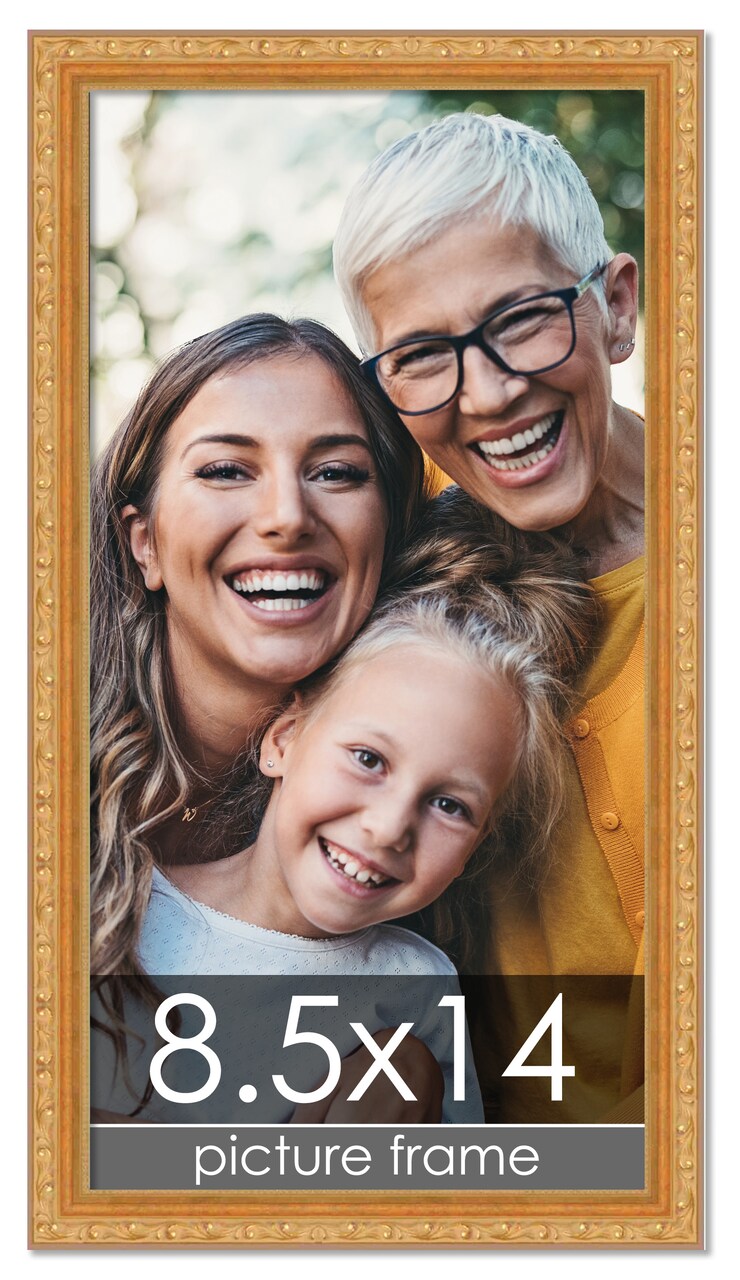 8.5x14 Museum-Quality Picture Frame with UV-Resistant Acrylic & Acid-Free Backing, Available in 4 Finishes - Gold, Silver, Bronze, and Black